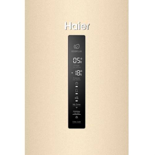 Holodilnik C4F640CGGU1 