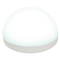 Лампа светодиодная со сферическим рассеивателем LED-GX53-13W/4000K/GX53/FR/SPHERE PLZ (UL-00011791)