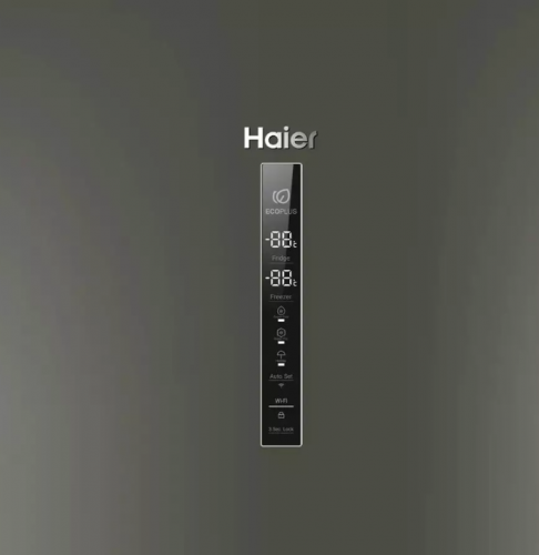 Holodilnik C2F636CFRGU1 