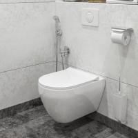 Унитаз подвесной Gesso "Деймос" home de luxе с сиденьем микролифт
