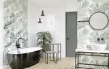 Коллекция "Asai+сariota"