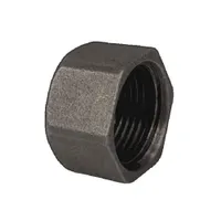 Заглушка чугунная Ду40 (1 1/2") ВР Fittex PLUS