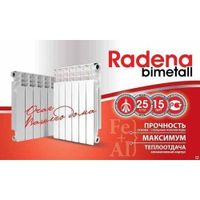 Радиатор биметаллический RADENA BIMETALL CS 500 100 8 секции