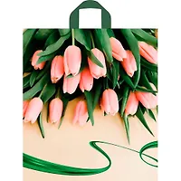 Пакет с петлевой ручкой 60х50+11см (60) (Райские тюльпаны) Тико (х25/250) ПТЛ58804