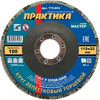 Круг лепестковый шлифовальный ПРАКТИКА 115 х 22 мм Р 100 (1шт.) , серия Мастер