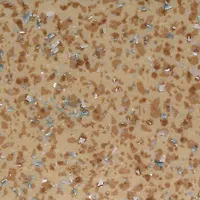 Линолеум Acczent mineral  AS 100011 3м (84 кв.м)