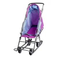 Коляска комбинированная Baby 1 DB1/1 Disney Коты Аристократы кошечка Мари орхидея