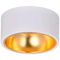 LIGHTING Светильник 4017 накладной потолочный под лампу GX53 белый/золото Iek