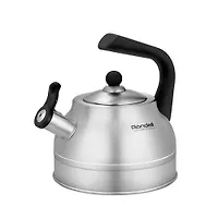 Чайник металлический Rondell Frank RDS-1861 2.8л стальной