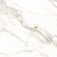 Керамический гранит CARRARA WHITE 600х600 арт.CA0H00M01 (1.44кв.м)