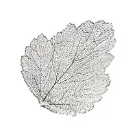 Салфетка декоративная полимер, 36х47 см, Веточка, Y4-5454 (407678)