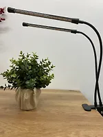 Светильник для растений светодиодный с таймером ULT-P33-15W/SPSB/TM IP40 BLACK