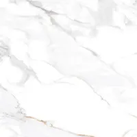 Керамический гранит CALACATTA ELITE 600х600х9 матовая арт.ETMAR1211MT6060 (1.44кв.м)