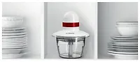 Измельчитель BOSCH MMRP 1000