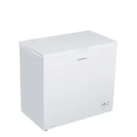 Морозильник Indesit ICF 200