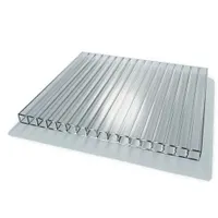 Сотовый поликарбонат SUNNEX 6х2.1(м), 10(мм), Прозрачный