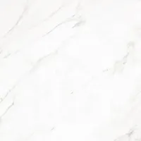 Керамогранит Scarlett white 01 450х450