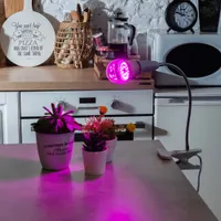 Лампа светодиодная для растений LED-А60-9W/SP/E27/CL ALM01WH