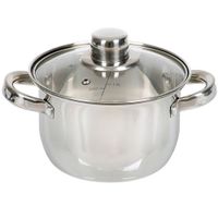 Кастрюля сталь, 1.9 л, с крышкой, крышка стекло, DNN3, SD-A17-16, серебристая (355346)