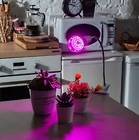 Лампа светодиодная для растений LED-А60-8W/SPSB/E27/CL PLP30GR