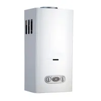 Газовая колонка ВПГ VilTerm S10