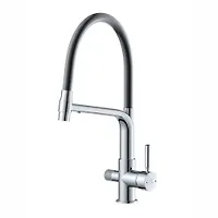 Смеситель для кухни с выходом для питьевой воды Potato D49-19028BL