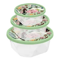 Комплект контейнеров для продуктов Homver круглых 3шт (0,4л+0,85л+1,4л) с декором Ботаника 1333