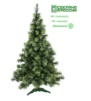 Сосна "Крымская" выс. 1,8м. арт. 0418