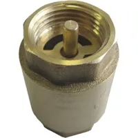 Обратный клапан 1'' с латунным штоком СТМ