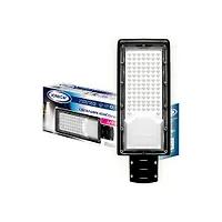 Светильник консольный линзованный ТМ IONICH ILED-ДКУ-100-230-6500-L-IP65 (FG2305)