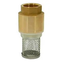 Обратный клапан с сеткой 1-1/2" CTM CBCVF112