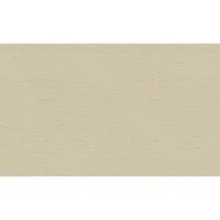Обои Палитра TC72457-27 Trend Color 1,06х10 м (6 шт)