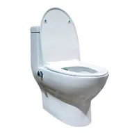 Монолит T1017B со встроенным биде, сиденье ДП (с гофрой и подводкой) "EVA GOLD"