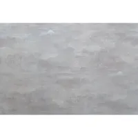 Обои Артекс 11237-04 Северная столица фон г.т. 1,06 * 10 м (6)