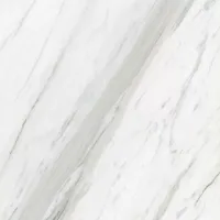Керамогранит Calacatta Belgia_GT белый 600х600 полированный (GT60606203PR)(1.44кв.м)