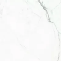 Керамогранит Elegant Statuario_GT белый 600х600 полированный (GT60604803PR)(1.44кв.м)
