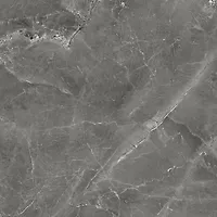 Керамогранит Global Tile Tulip_GT темно-серый 600х600 полированный (GT606012109SPR)(1.44кв.м)