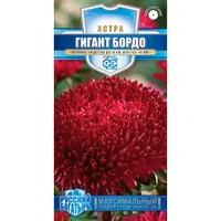 Астра Гигант бордо, однолетняя* 0,05 г (игольчато-коготковая) серия Русский богатырь "Гавриш"