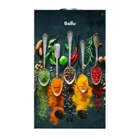 Газовая колонка Ballu GWH 10 Fiery Glass Curry (Принт:Специи)