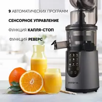 Соковыжималка шнековая PSJ 0602 (POLARIS), Графит