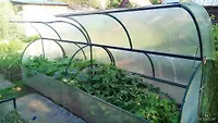 Каркас парник Новатор-Бабочка (2*1,2*1,0) г.Ижевск