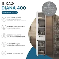 Пенал Diana 400 г. Нижний Новгород