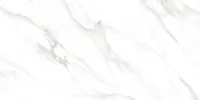 Керамический гранит CARRARA PEARL 600х1200х9 матовый арт.ETMAR1218МТ60120 (1.44кв.м)