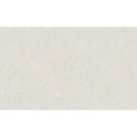 60106-02 Обои ERISMANN Profi Deco Color 10,05х1,06 (6)