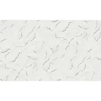 HC31181-14 Обои Home Color (1,06х10) (6)