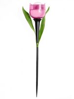 Светильник садовый на солнечной батарее USL-C-451/PT305 PINK TULIP (UL-00004276)