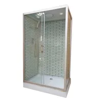 Душевая кабина Дана 36 К 120*80*215 низкий поддон, белый кирпич