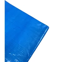 Тент "X-Glass 80", 10 х 20м, 80 г/м2