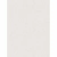 Обои Палитра 10142-22 AS 0,53*10 м (12 шт)
