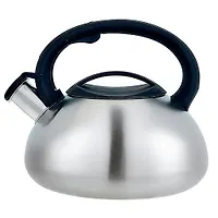 WEBBER BE-0599 Чайник из нерж.стали 2,5л,со свистком,сатин(12)